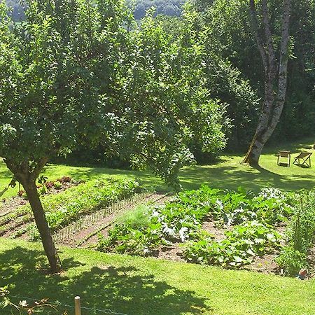 L'Ourserie Bed & Breakfast Saint-Paul-en-Chablais Εξωτερικό φωτογραφία