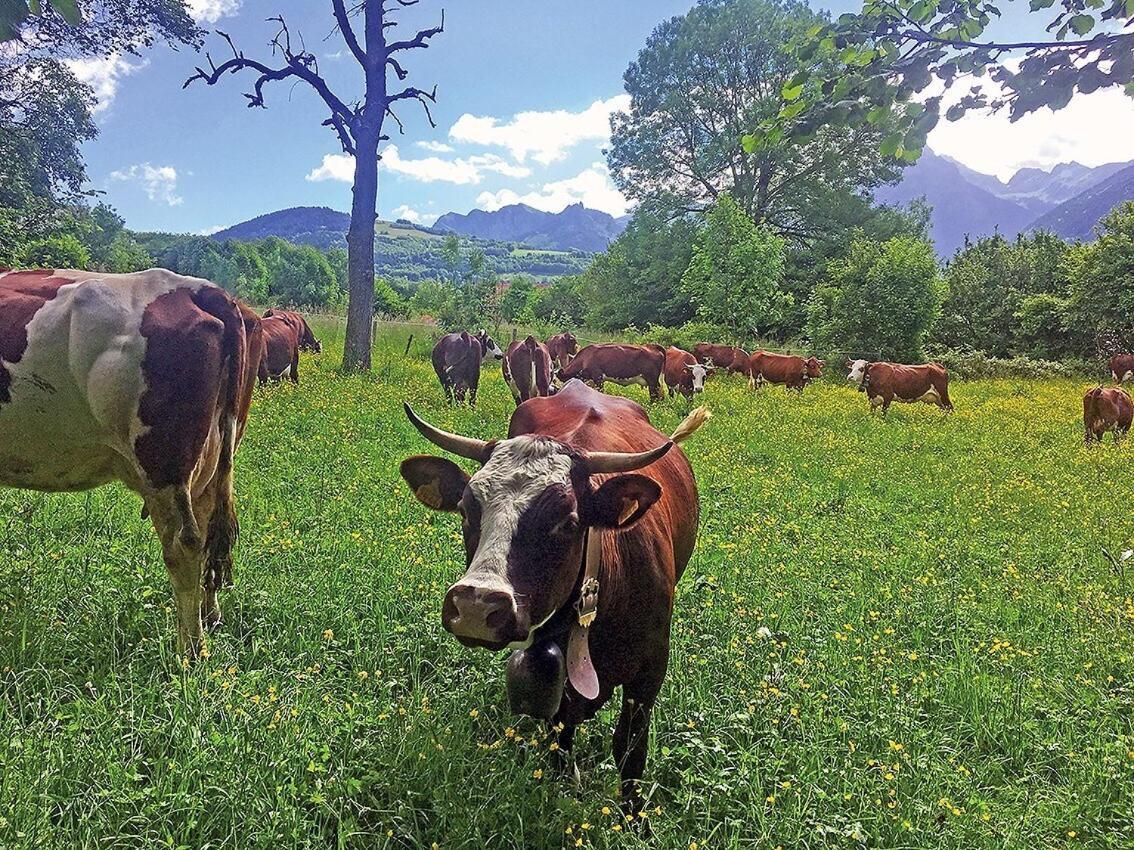 L'Ourserie Bed & Breakfast Saint-Paul-en-Chablais Δωμάτιο φωτογραφία